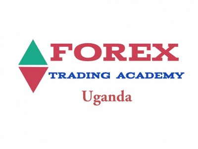 Online Forex trading education platform