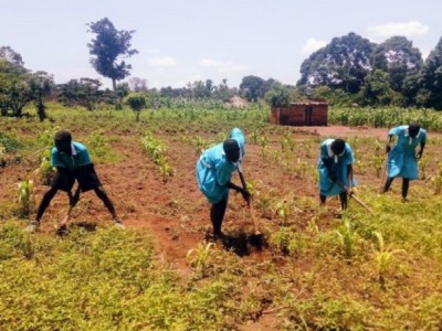 Community Permaculture Demonstration Project