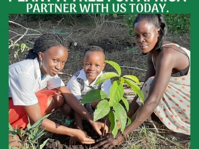 Trees For Africa