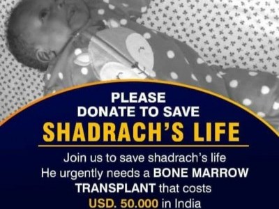 Save Shadrach's life